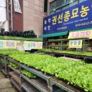 권선농약사 이미지