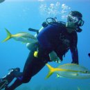 외길수산 이미지