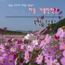 북천초등학교 | 하동 가볼만한곳 :: 북천역 코스모스 ♬
