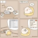 P&J