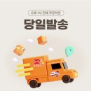 대동어린이집 | 0살반 어린이집 이름표 고르는 법｜비비드레인 아기 얼굴 포토 네임 스티커