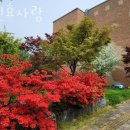 용인효사랑 네이버블로그