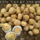 수미식품 이미지