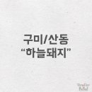 강동로6-12 이미지