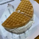 샤인하우스 가동 이미지