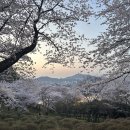 오목바지락칼국수 | [목포] 박만배아리랑보쌈 목포하당점 가브리살보쌈 주말저녁외식 후기(주차꿀팁)