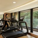 파라스파라 서울 이미지