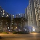 미제뜰 | 신혼부부 부동산 재테크 시작 하게 된 계기 (feat. 전세사기 전화위복)