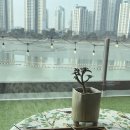 월곶해안로 | 시흥 월곶 카페 지져스 카페 바다 앞 힐링 분좋카 쌍화차 내돈내산 방문 후기