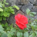 사계보건진료소 이미지