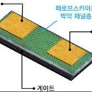[2025 DAILY PICK 제177호] &#39;페로브스카이트 반도체, 성능·수명 모두 잡았다&#39; 등 이미지