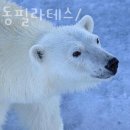 케이엠필라테스&자이로토닉