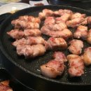 더피그 이미지
