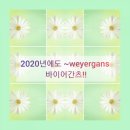 바이어간츠코리아 이미지