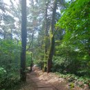 월령솔가 | 제주 올레길 7코스 가장 아름다운 올레 코스