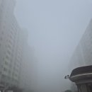 [일기] 집들이하고 시댁행사 가는 4개월차 새댁의 10월 둘째주 기록