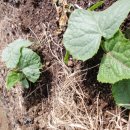 행복잡화 이미지