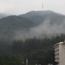 만수무강 Daum카페
