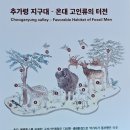 전곡-19 이미지