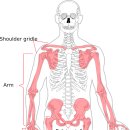 로그짐 잠실역점 이미지