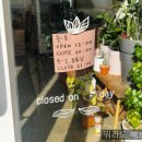 피어나플라워 이미지