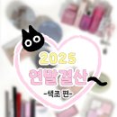 26500-80-04-004 | 겨쿨 쿨톤 2025년 연말결산 잘쓴템 모음 2편 (하이라이터/블러셔/립)