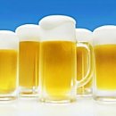 게스트하우스장 이미지