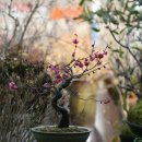 외기농장 이미지