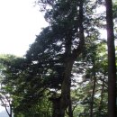 대자연횟집 - 군산시 미장서로 102 | 대자연횟집
