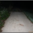 저담정농장 이미지