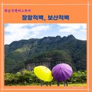 천일체육관 | 화순 적벽 - 화순적벽 버스투어로 만나는 노루목적벽(장항적벽)과 보산적벽