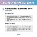 경북 경산 펜타힐즈 힐스테이트 성공적인 실크도배(파사드)