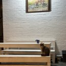 잉꼬가든 | 전의면 맛집 잉꼬가든