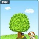 블로그도 개성시대! 블로그 위젯으로 블로그 꾸미기! 이미지