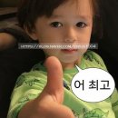 2026년 4월 몰디브 신혼여행 정보기록 2일차ㅣ 마푸시섬 로컬섬 이동 정보 ㅣ 마푸시섬 익스커션 업체...