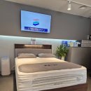 오랑개 용인흥덕점 | 🛏 [혼수] 금성침대 배송 후기 &amp; 사용후기 / 금성침대 용인 흥덕점 / 앱솔루트 / KS1224 /LK