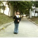 홍주유치원 이미지