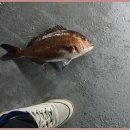 실내바다낚시터 이미지