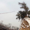 인천도호부청사 Daum카페