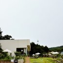 현덕로 | 평택 카페 추천 🌲 숲속 힐링 공간 ‘시숲’ 다녀온 솔직 후기 ✨스몰웨딩 장소로도 최고!