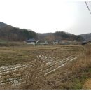 샘골목장 이미지