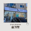 펫# | 셀프목욕 애견미용 찾는다면? 경기광주 애견셀프목욕 쉴가펫 후기