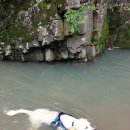 아이조아요양보호소 동탄점 이미지