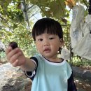 예일농장 이미지