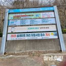 5등급차량운행제한 이미지