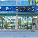 금아의수족 이미지