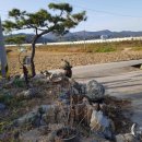 곡성-196 이미지