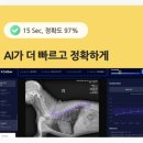 SK텔레콤의 AI 기반 반려동물 영상 진단 보조 솔루션 X Caliber(엑스칼리버) 체험 후기