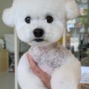 시블링즈 이미지