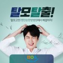 편안손한방병원 네이버블로그